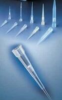 Maslahat: &quot;WHITE&quot; 10000 mkl pipetka uchun: AP10000 - 1000-10000 mkl