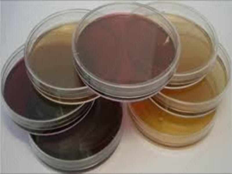 Среда Донована. Для обнаружения Bacillus cereus