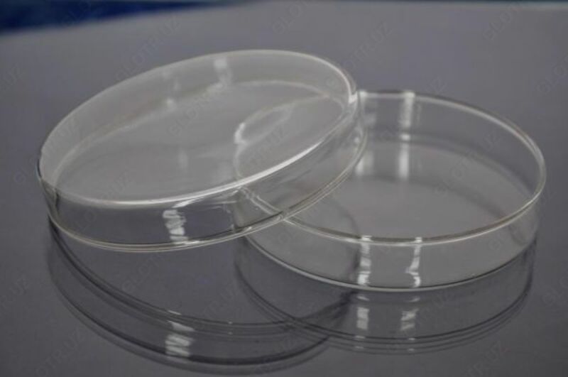 Чашки Петри (стеклянные) 200*20 мм (Чехия)