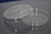 Чашки Петри (стеклянные) 200*20 мм (Чехия)