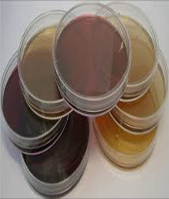 PEPTONE-TBL/ Пептон для бактериалогических исследований ( ферментативный )(500 гр)