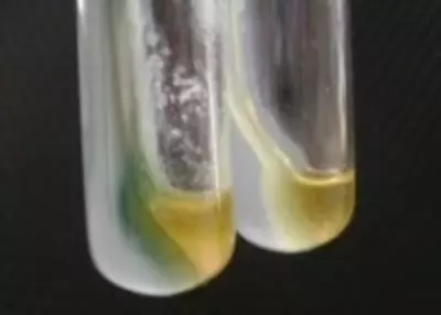 Фенилаланин агар