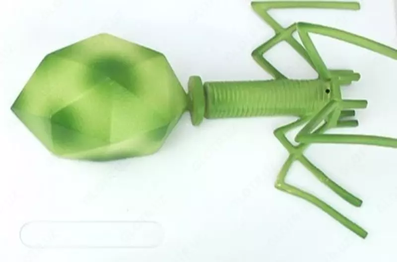 Бактериофаг