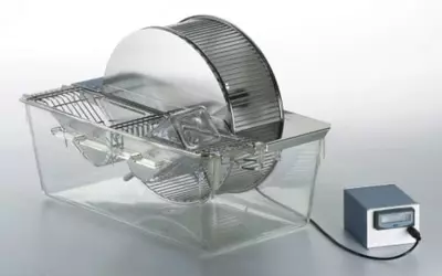 Вращающиеся колеса для крыс