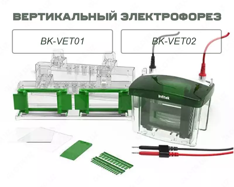 Вертикальный электрофорез