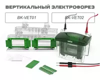 Вертикальный электрофорез