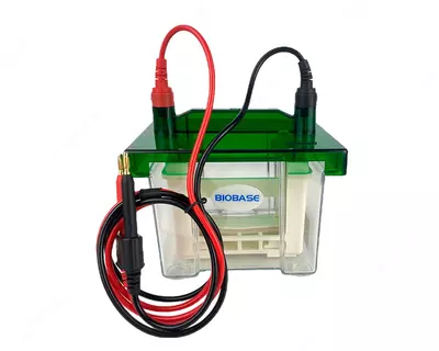 Вертикальный электрофорез