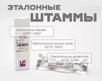 Эталонные штаммы