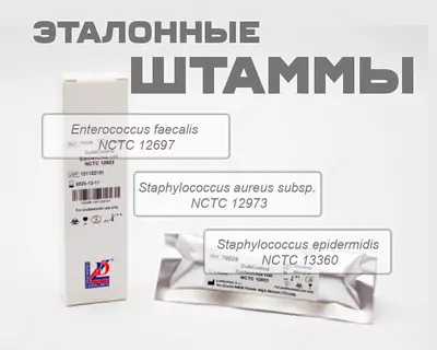 Эталонные штаммы