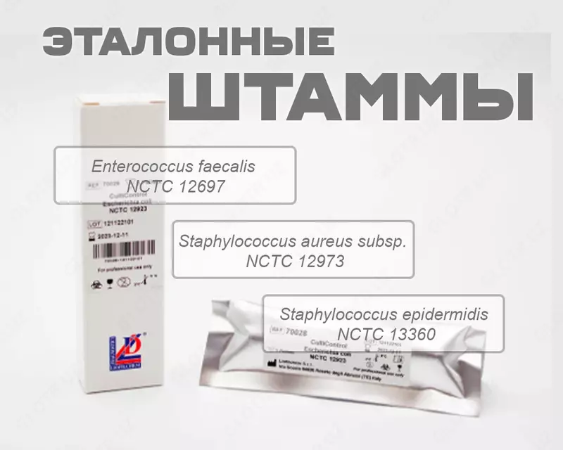 Etalon shtammlar — turli turlari