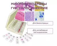 Микропрепараты гистологические