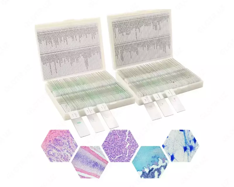 от 10 000 сум Микропрепараты гистологические