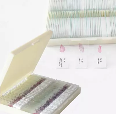 Микропрепараты гистологические AvikonTex