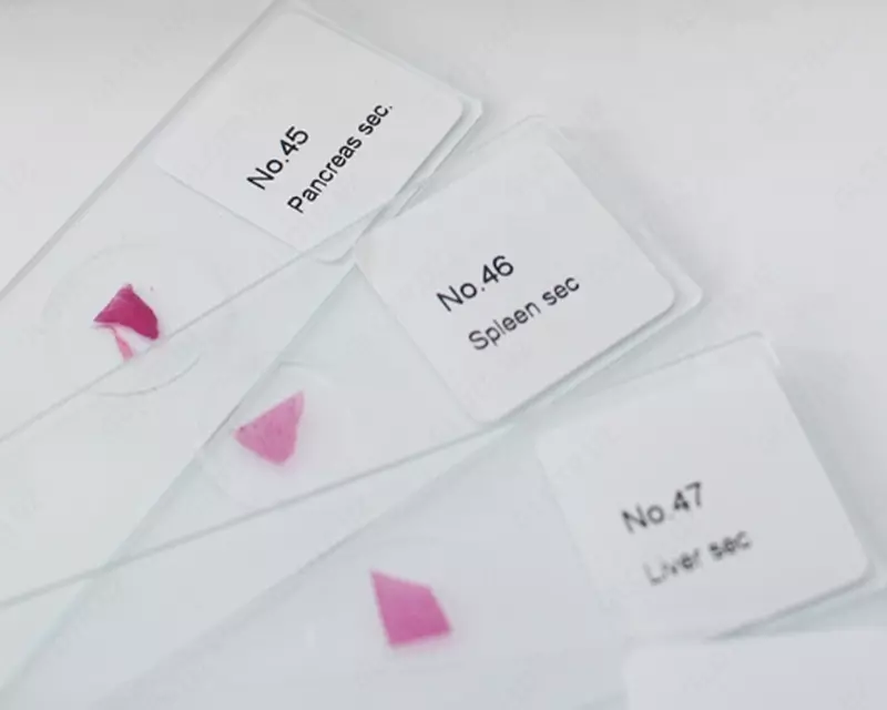 Микропрепараты гистологические - AvikonTex