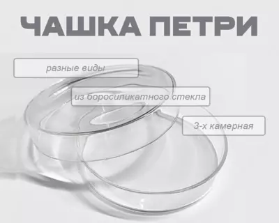 Чашка Петри