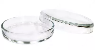 Чашки Петри — стеклянные и пластиковые