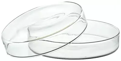 Чашки Петри — стеклянные и пластиковые AvikonTex