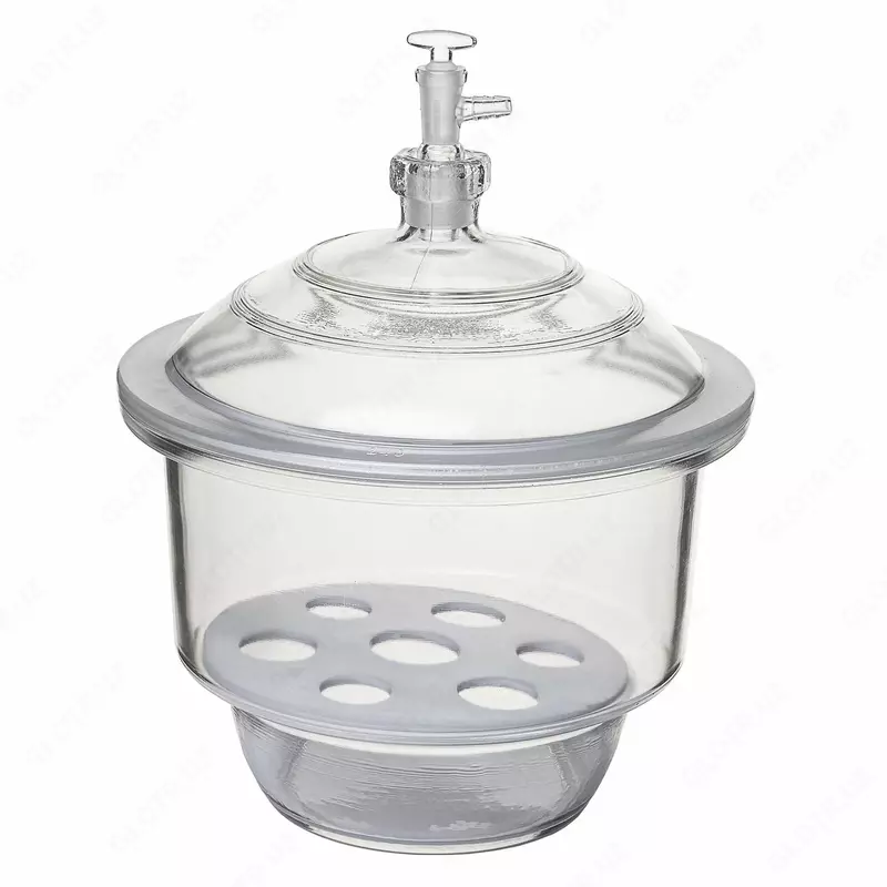 Лабораторный эксикатор с фарфоровым поддоном