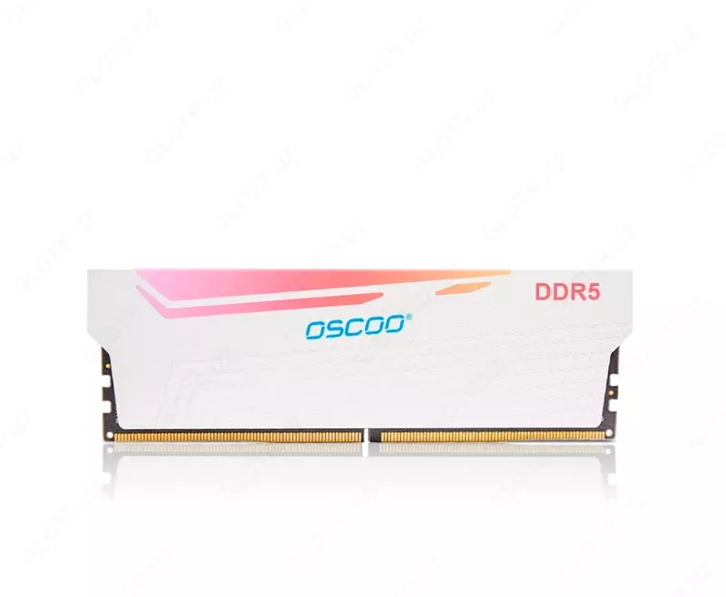 OSCOO DDR5 32GB 6000Mhz (16*2) tezkor xotira