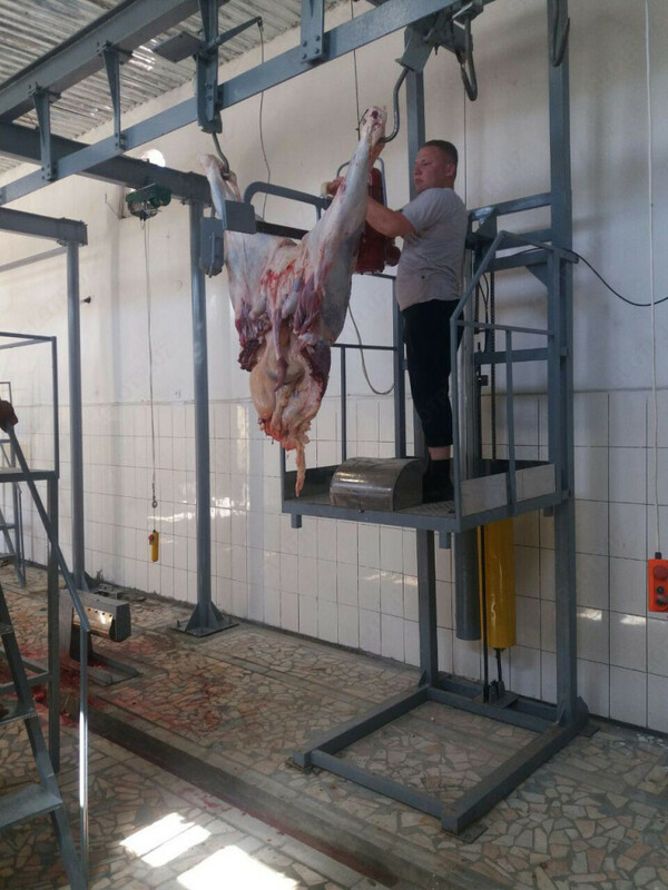 Qoramollarni tana go&#39;shti kesadigan joy Chakana savdo