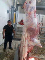 Шкуросъёмный агрегат с двумя площадками и тельфером Только в розницу