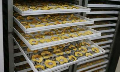 Оборудование (линия) для производства фруктовых чипсов - Narx so&#039;rov asosida