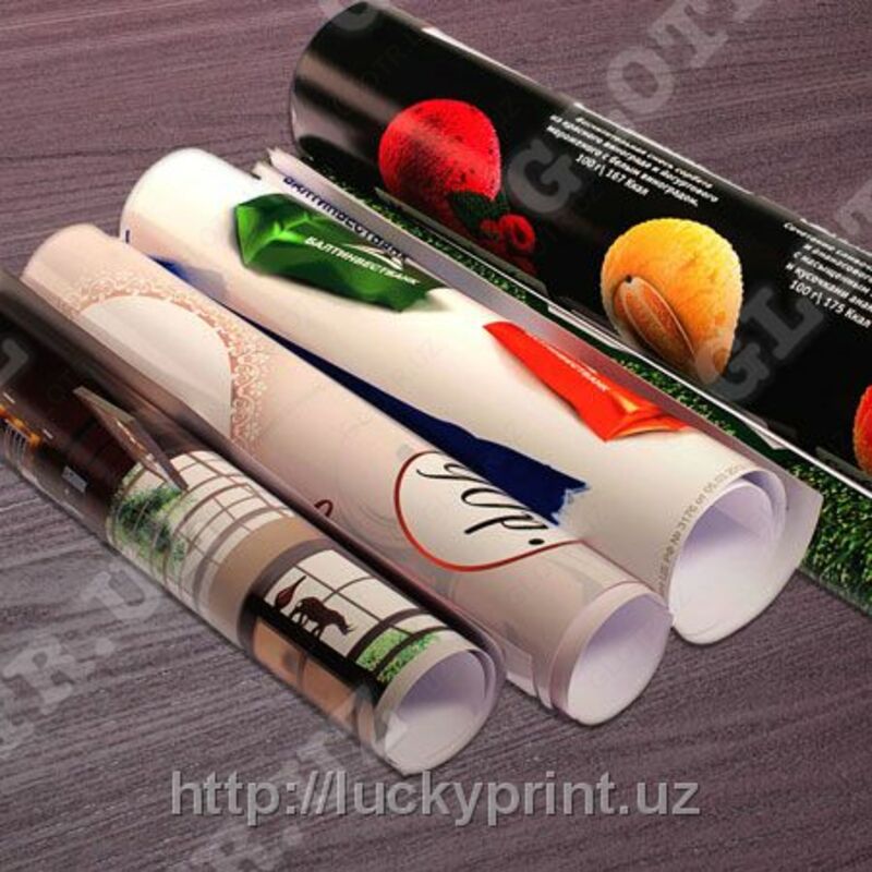 Afishada (afishada) F. A3