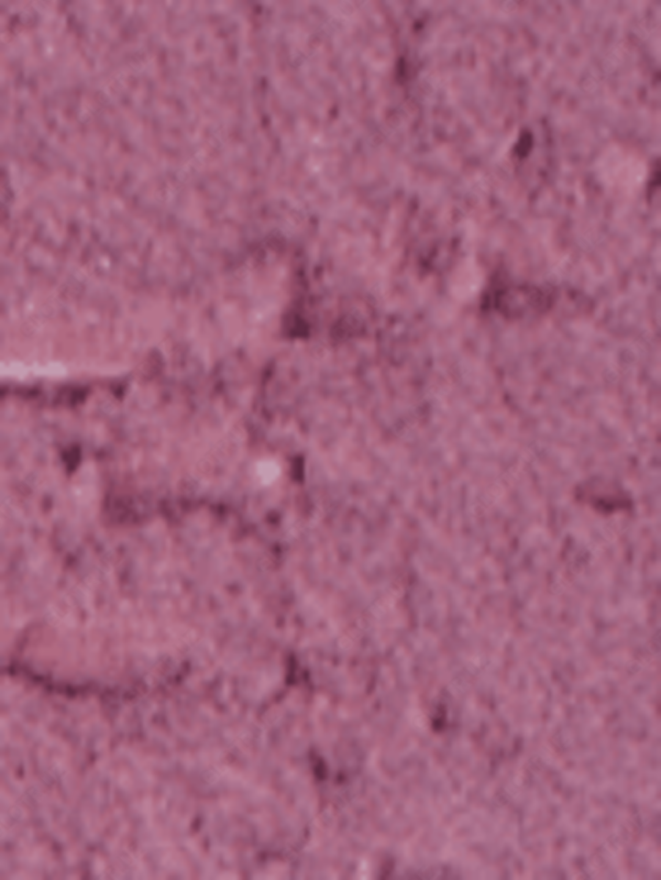 Структурная штукатурка Maru Décor Coat 25 кг Цвет MC-020