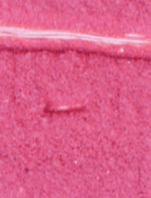 Структурная штукатурка Maru Décor Coat 25 кг Цвет MC-024