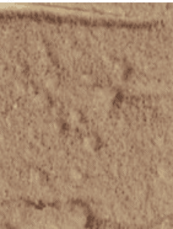 Strukturaviy gips Maru dekor pardasi 25 kg Rangli MC-031