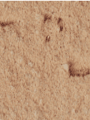 Структурная штукатурка Maru Décor Coat 25 кг Цвет MC-032