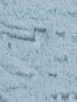 Strukturaviy gips Maru dekor pardasi 25 kg Rangli MC-039