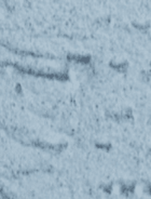 Структурная штукатурка Maru Décor Coat 25 кг Цвет MC-039