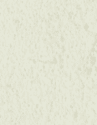 Структурная штукатурка Maru Décor Coat 25 кг Цвет MC-04