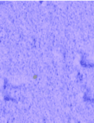 Структурная штукатурка Maru Décor Coat 25 кг Цвет MC-052 - 344 000 сум / Ведро