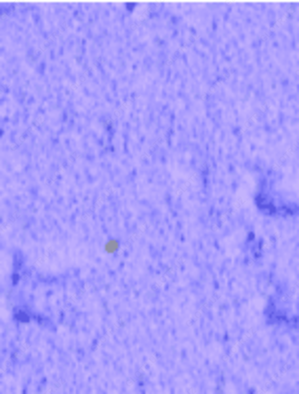 Strukturaviy gips Maru dekor pardasi 25 kg Rangli MC-052 - 344 000 so'm