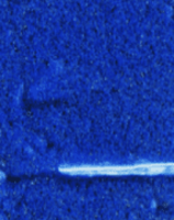 Структурная штукатурка Maru Décor Coat 25 кг Цвет MC-055 - 344 000 сум