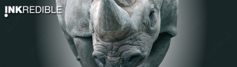 QU!CKFAST — быстросохнущая офсетная краска от Huber group