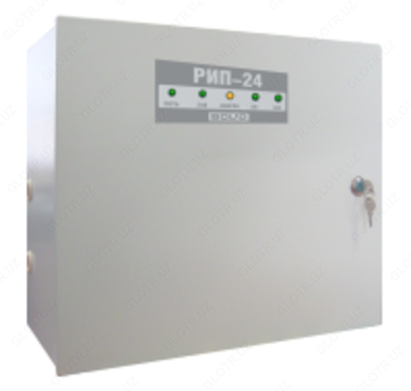 РЕЗЕРВИРОВАННЫЙ ИСТОЧНИК ПИТАНИЯ РИП-24 ИСП. 06 (РИП-24-4/40М3-Р)