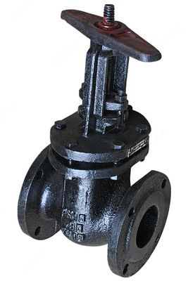Darvoza valfi 30ch6br du-150