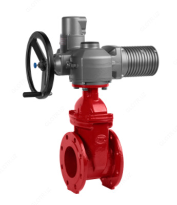 Задвижка 30ч 906бр под электропривод ду-100