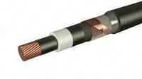 Силовой кабель ПвПу 1х300/25-35