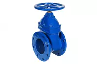 Quyma temir eshikli klapan 30ch39r Du-50 mm Ru-16 (Rossiya "LMZ" OAJ) - 552 000 so'm