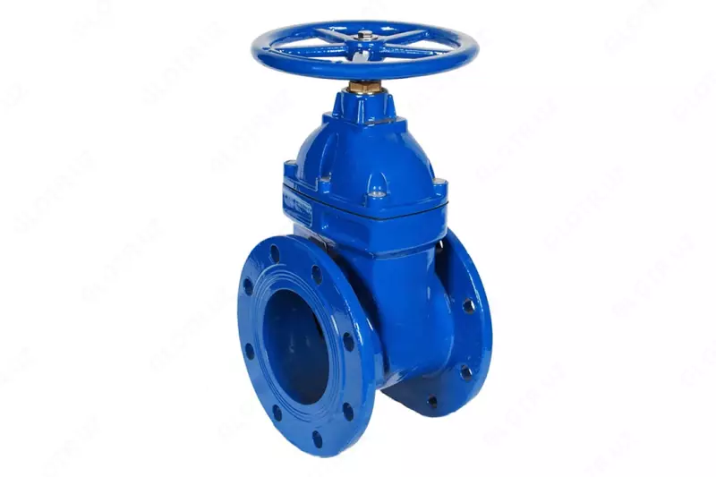 Quyma temir eshikli klapan 30ch39r Du-50 mm Ru-16 (Rossiya "LMZ" OAJ) - 552 000 so'm