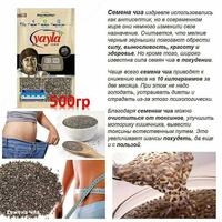 Chia urug'lari Boliviyada tug'ilgan