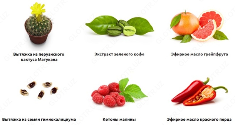 Фито Липосактор для похудения - 150 000 сум