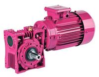 Червячный Мотор-редуктор