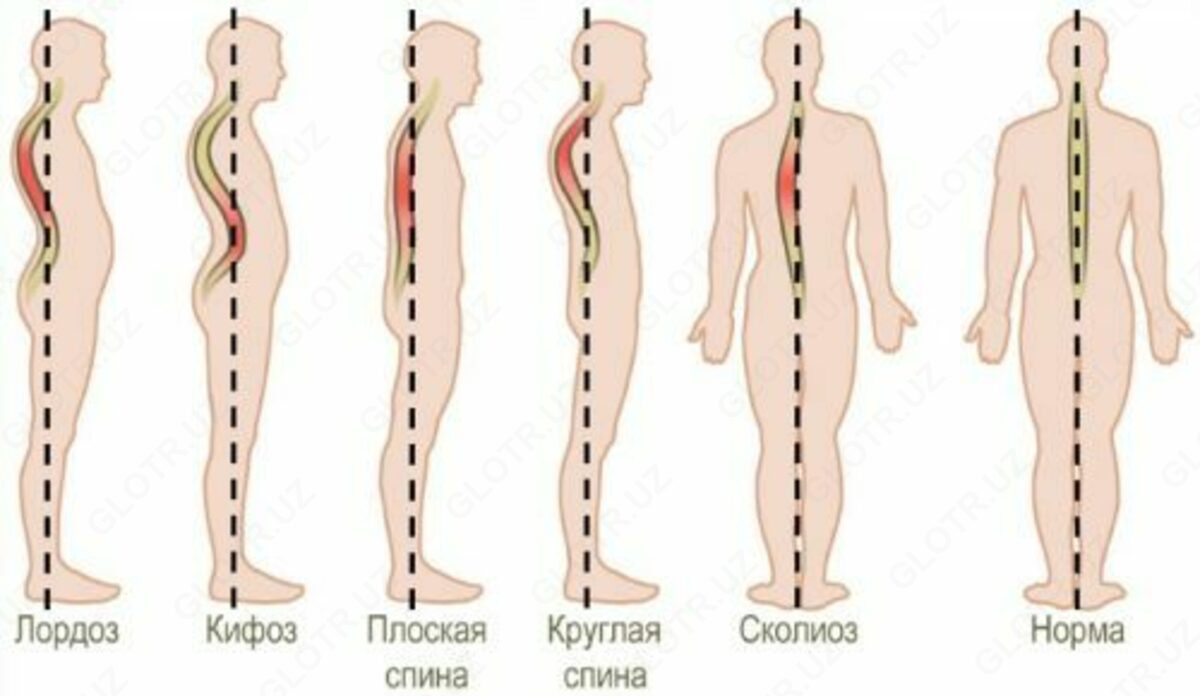 2020-11-19-11-17-23-592868-242fc5c04c412131a223099336a132c7.jpg?_=ozbol