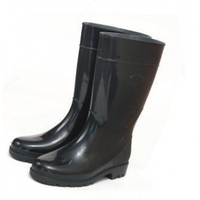 Резиновые сапоги