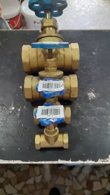 Vinil qanotli guruch